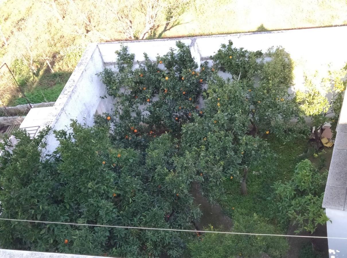Villa Gardenia Ostuni Εξωτερικό φωτογραφία