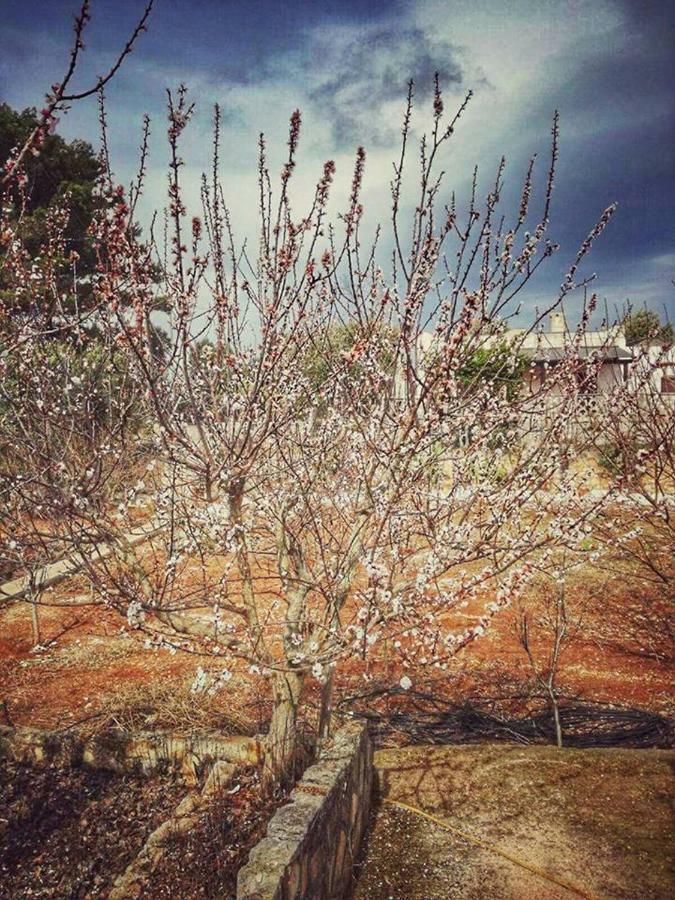Villa Gardenia Ostuni Εξωτερικό φωτογραφία