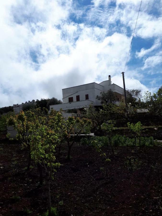 Villa Gardenia Ostuni Εξωτερικό φωτογραφία